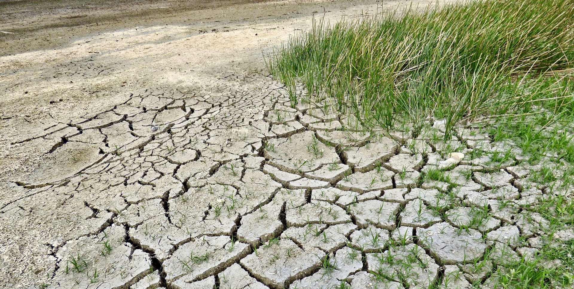 Adattarsi al clima che cambia
