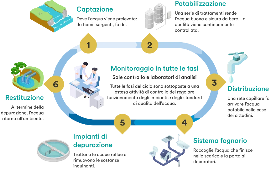 Infografica del ciclo idrico: captazione, potabilizzazione, distribuzione, sistema fognario, depurazione e restituzione
